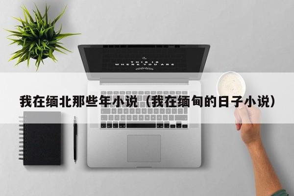 我在缅北那些年小说（我在缅甸的日子小说）