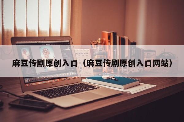 麻豆传剧原创入口（麻豆传剧原创入口网站）