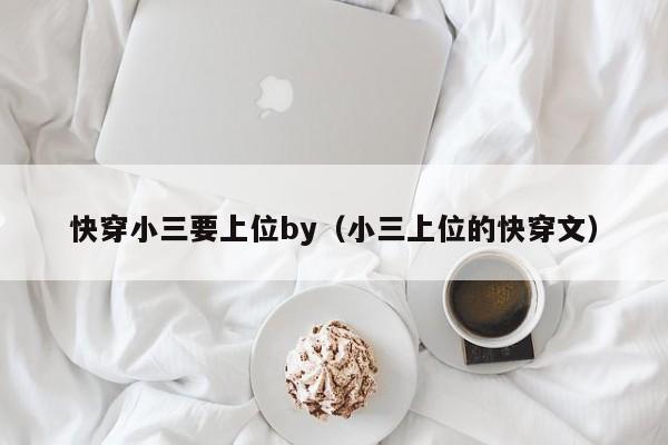 快穿小三要上位by（小三上位的快穿文）